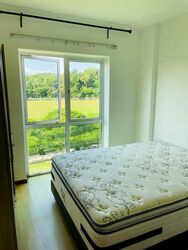 The Woodgrove (D25), Apartment #497990481